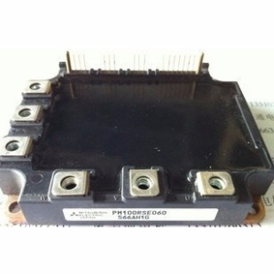 PM100RSE060