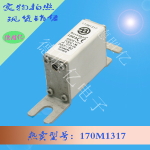 170M1317