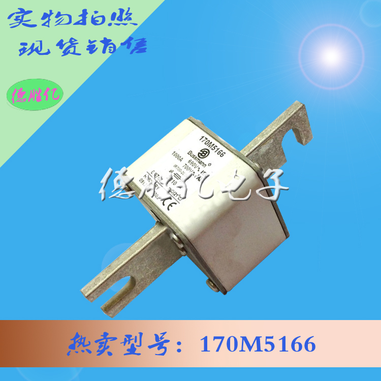 170M5166.jpg